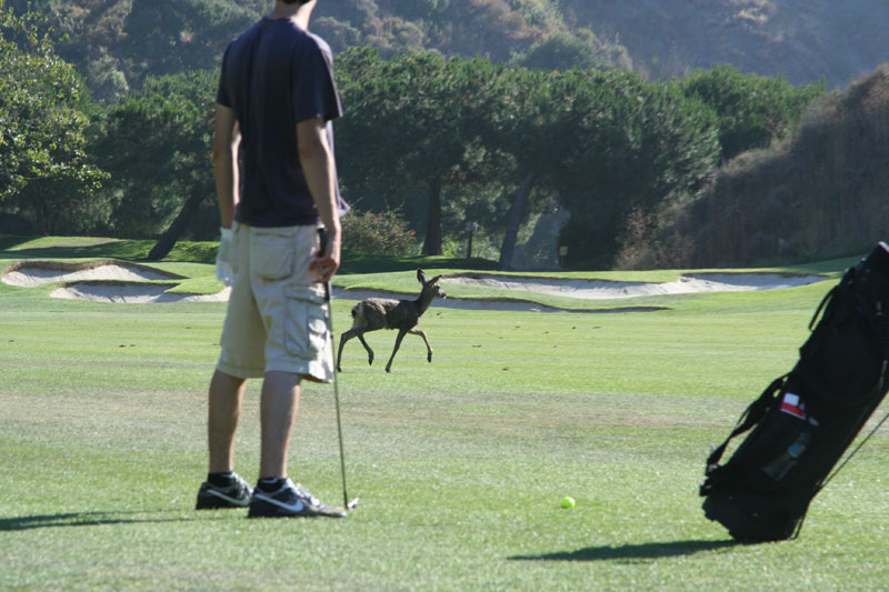 brandon waits for the deer