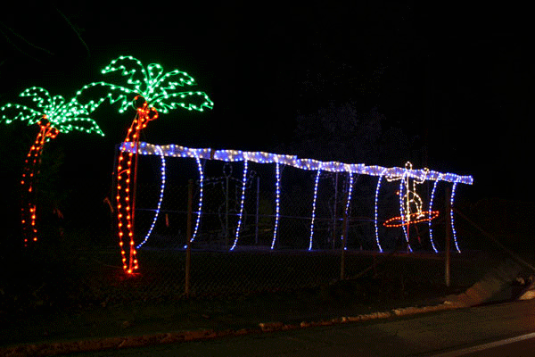 Griffith Park Lights 0 surfer