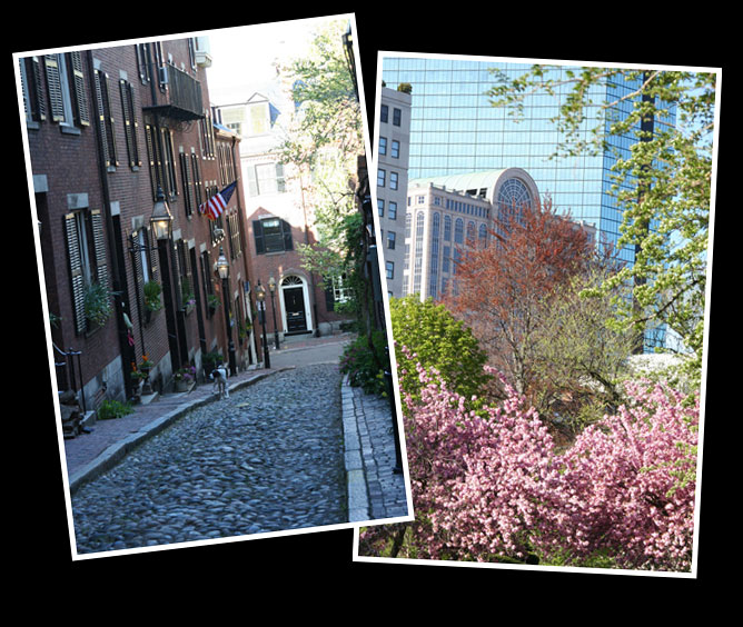 boston, acorn street