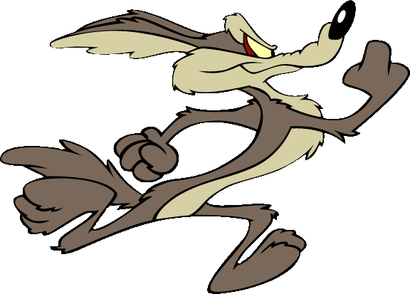 coyote