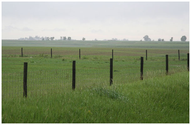 iowa fence