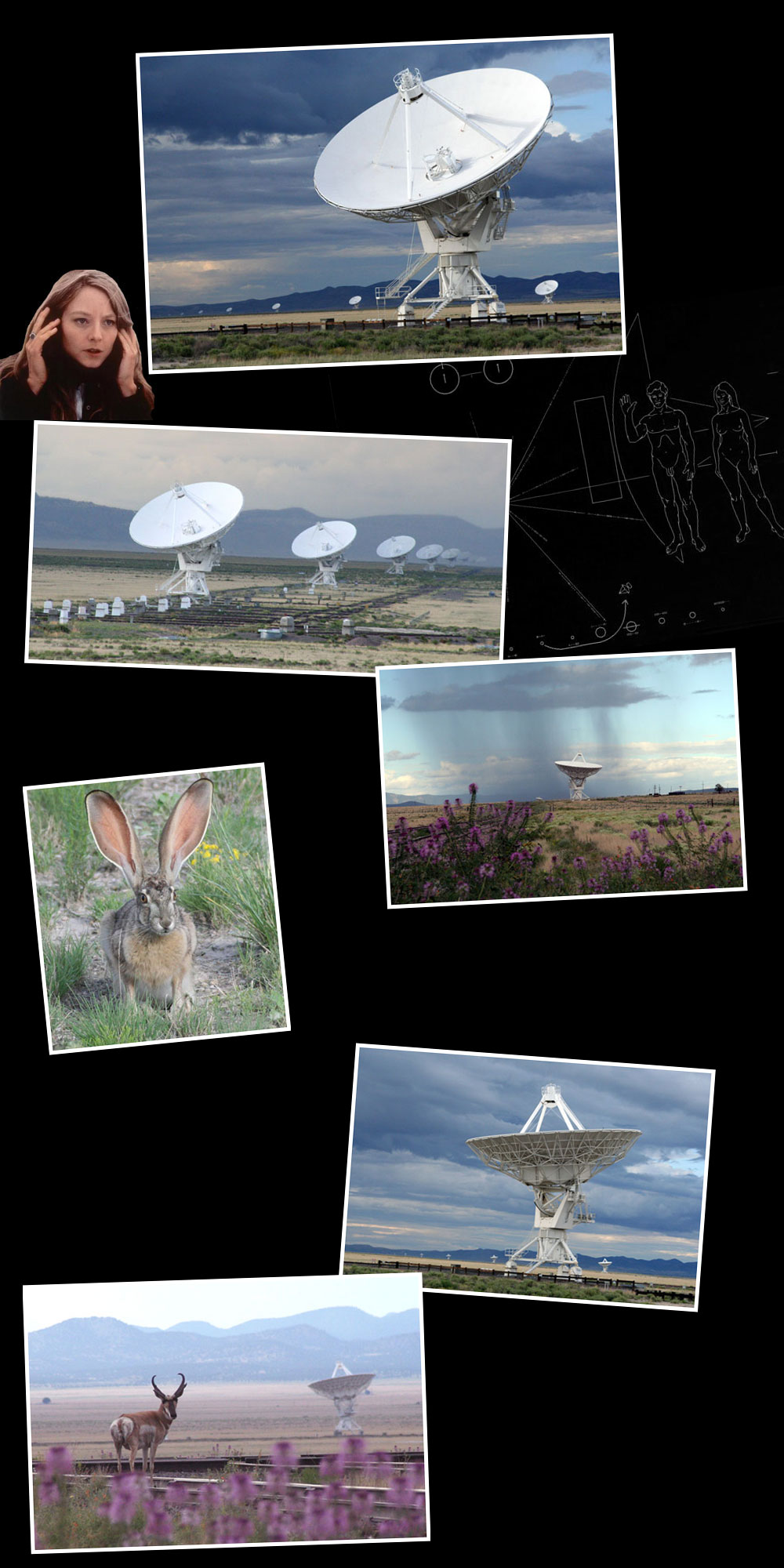 VLA