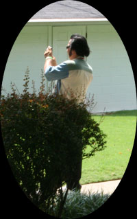 elvis sighting