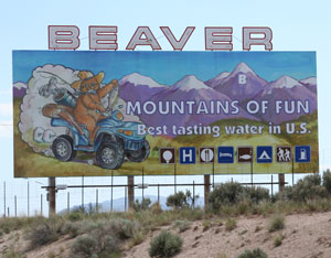 beaver